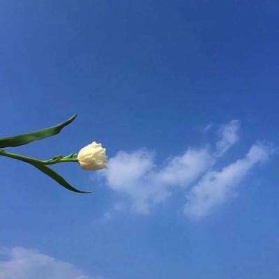毒王华佗传公益服下载