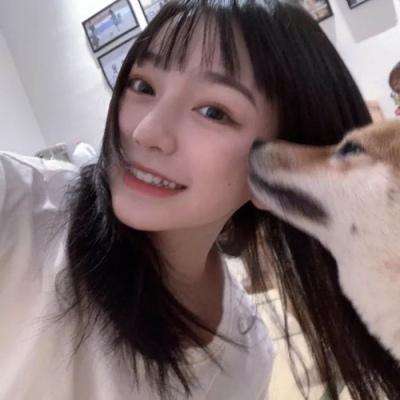 盘龙挂机官方